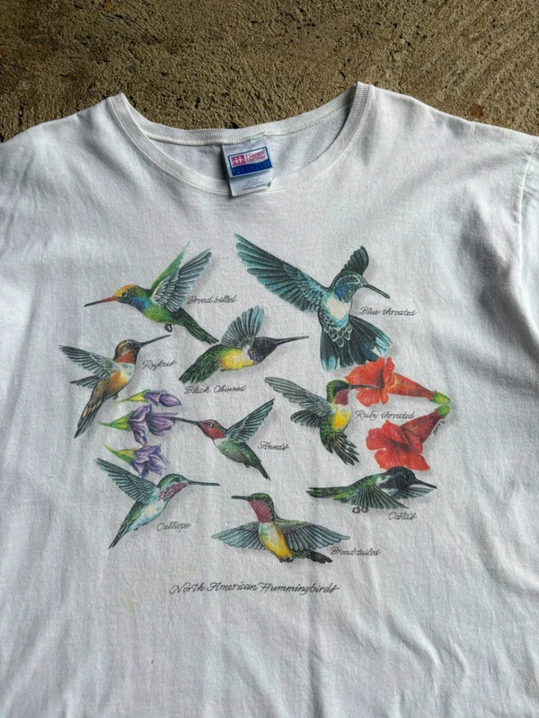 "North American Hummingbirds" T-Shirt – Hanes Her Way